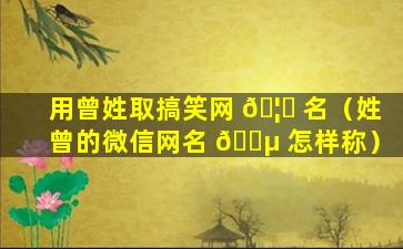 用曾姓取搞笑网 🦍 名（姓曾的微信网名 🐵 怎样称）